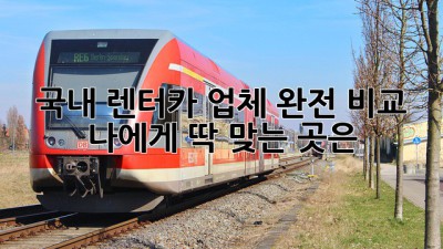 🚗 국내 렌터카 업체 완전 비교! 나에게 딱 맞는 곳은? 🧐